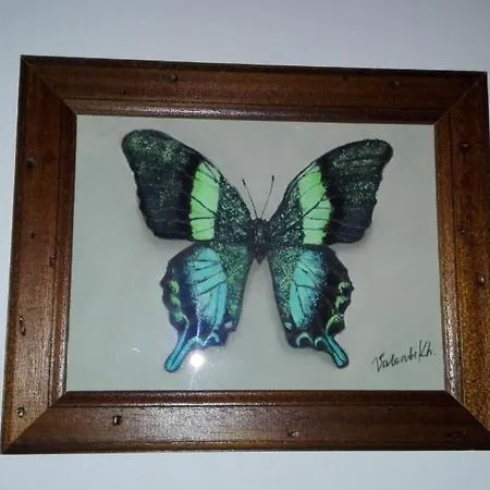 拉特兰旅馆 招待所